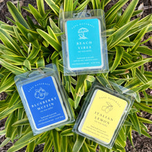 Load image into Gallery viewer, Spring/Summer Wax Melts (+ Bundle)
