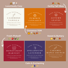 Load image into Gallery viewer, Fall Candle Bundle- Non-Toxic Soy Candles