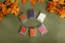 Load image into Gallery viewer, Fall Wax Melts (+ Bundle!)