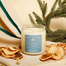 Load image into Gallery viewer, Citrus Juniper Non-Toxic Candle (Pear + Juniper Berries)