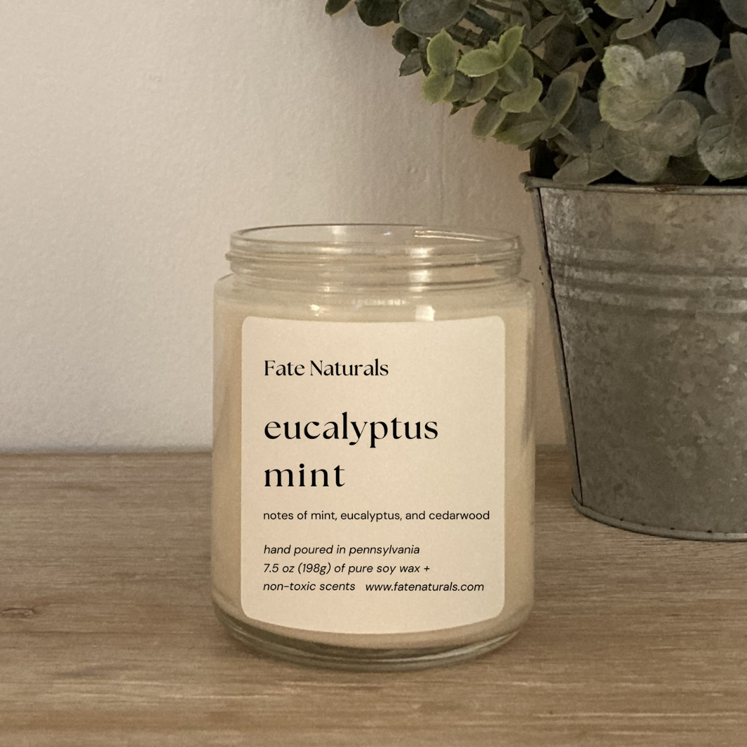 Eucalyptus Mint Non-Toxic Candle - Fate Beauty 