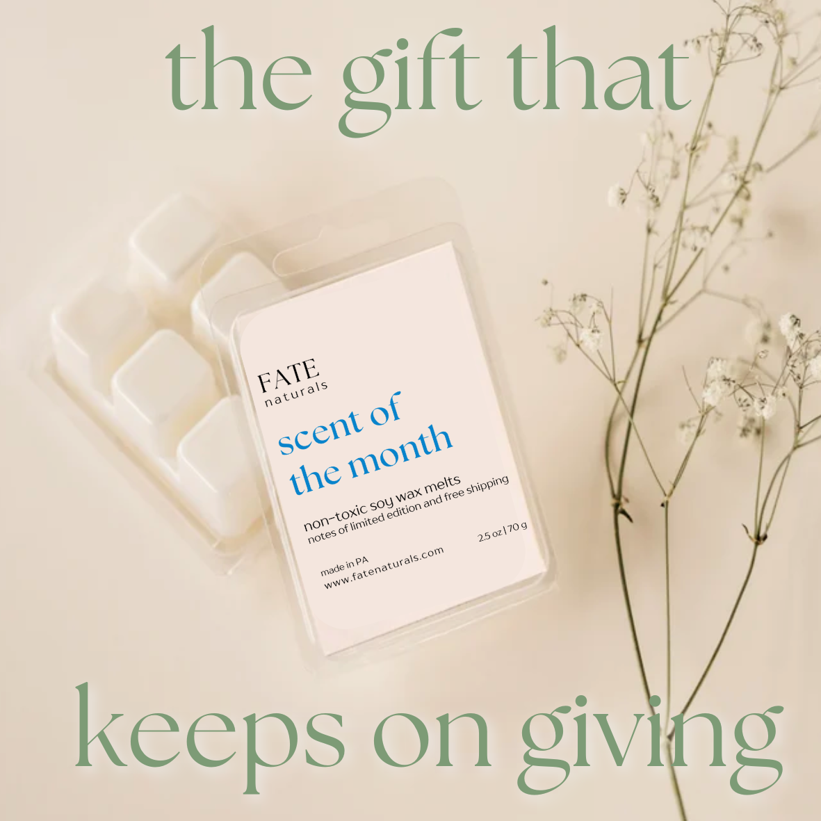 Pre-Paid Wax Melt of the Month Subscription Box (12 Months)