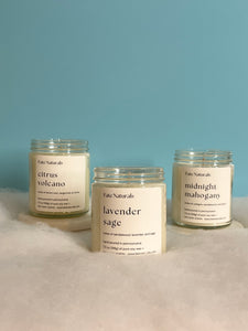 The New Bundle (3 Non-Toxic Soy Candles)